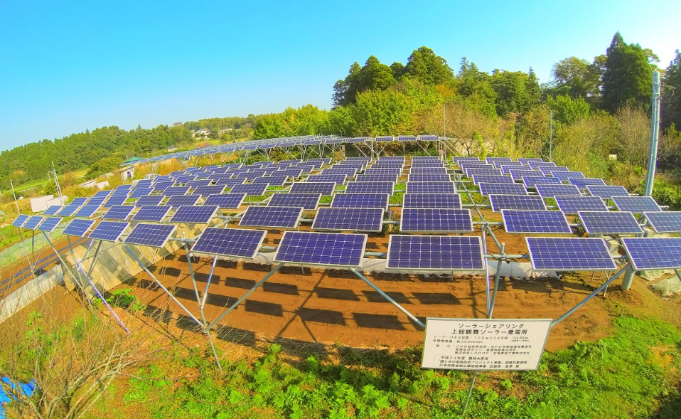 ソーラーシェアリングを導入した畑