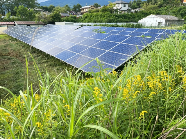 太陽光パネル