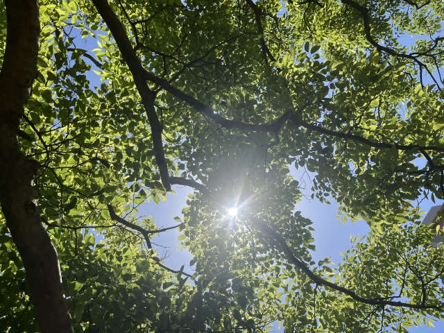 太陽光発電