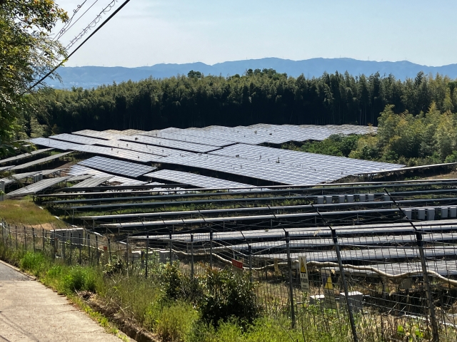 山の傾斜に設置された太陽光パネル
